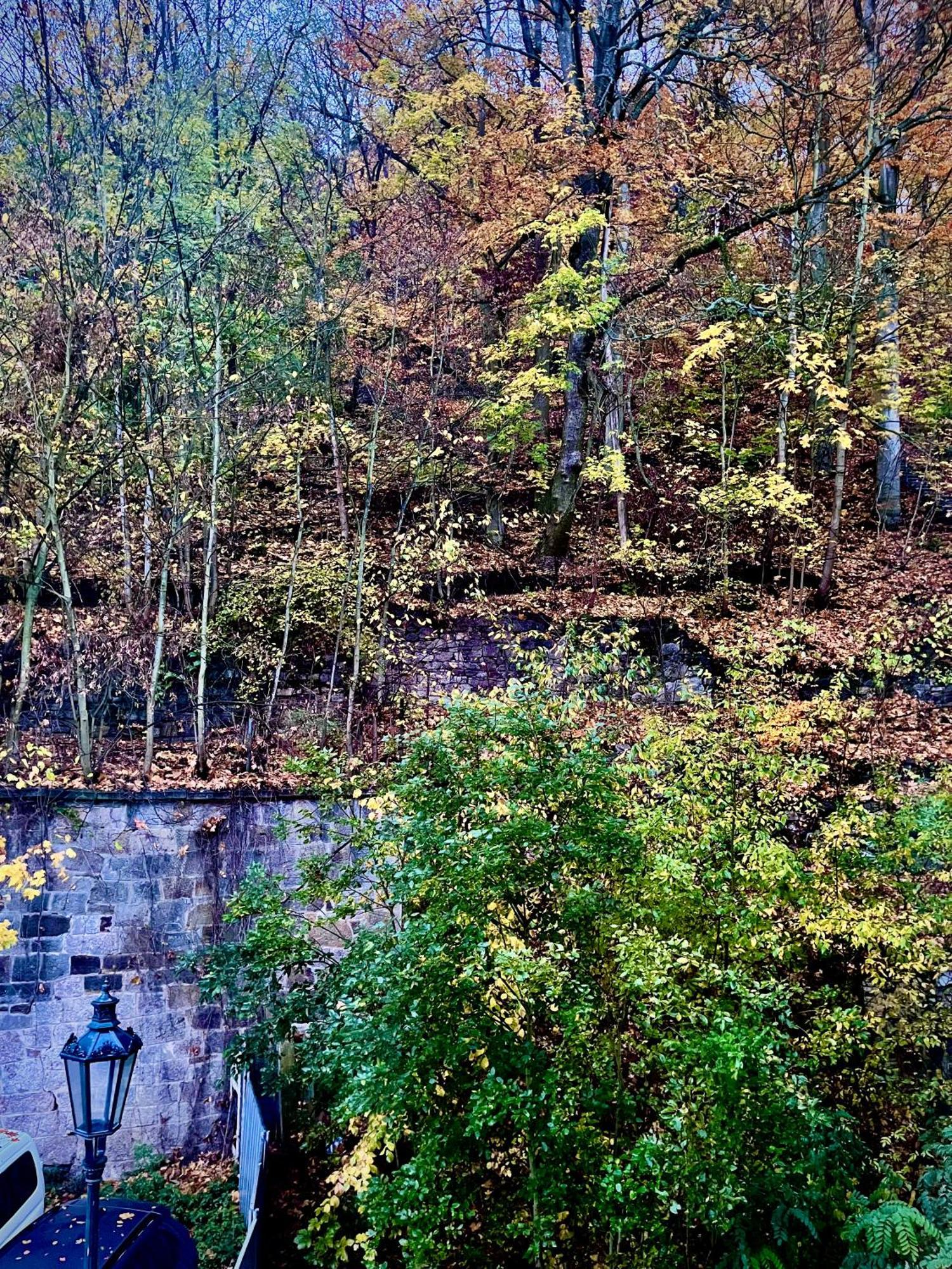 Bohemian City - Amazing View, Garage Karlovy Vary Esterno foto